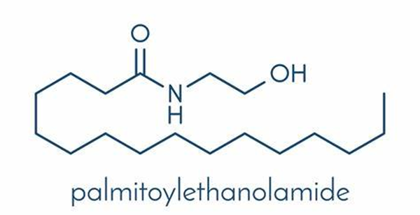 544-31-0 PalmitoylethanolamideBenefits and UsesSide Effects