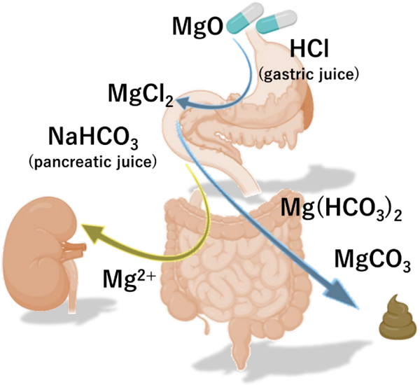 606-68-8 NADH, disodium saltApplicationApplication of NADH, disodium salt