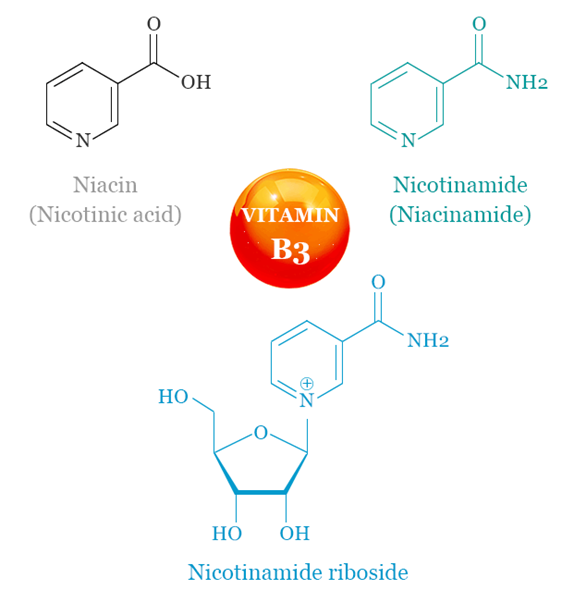 23111-00-4 NiacinNiacinamideNicotinamide Ribosidedifference
