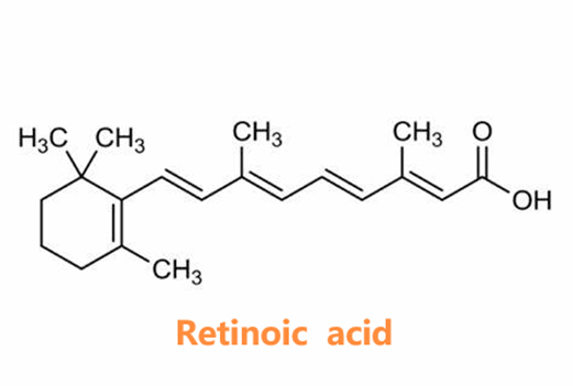 302-79-4 Retinoic acidRetinoidsEeffectSkin