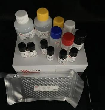 大鼠血管紧张素Ⅱ(ANG-Ⅱ)Elisa试剂盒的应用