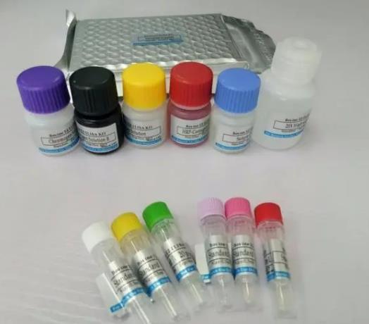 小鼠γ干扰素(IFN-γ)Elisa试剂盒的应用