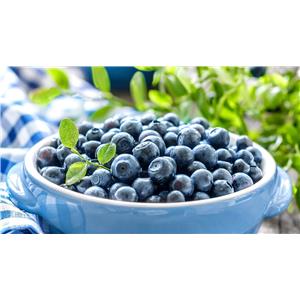 Powdered Bilberry Extract