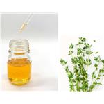 Carvacrol; Thyme extract pictures