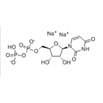 URIDINE 5'-DIPHOSPHORIC ACID SODIUM SALT pictures