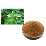 CLINODISIDE A;calamint extract pictures