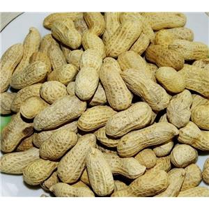 Luteolin; Peanut shell extract