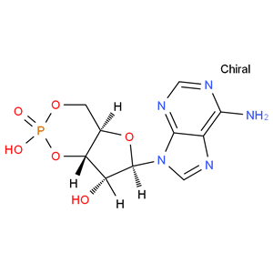 Adenosine 3',5'-cyclic monophosphate；Cyclic AMP； 3:5-CAMP；3',5'-CYCLIC AMP
