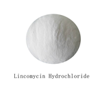 Lincomycin Hydrochloride pictures