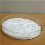 544-31-0 Palmitoylethanolamide