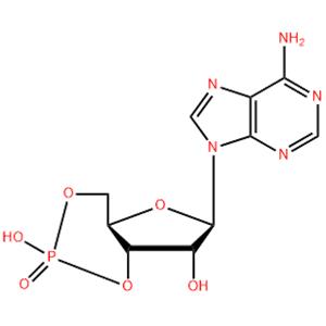 Adenosine 3`, 5`-cyclic monophosphate