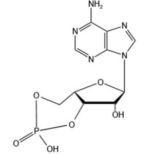 Adenosine 3’,5’-cyclic monophosphate (cAMP)