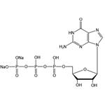 Guanosine-5’-triphosphate disodium salt（GTP-Na2） pictures