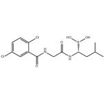 	(R)-1-(2-(2,5-dichlorobenzamido)acetamido)-3-methylbutylboronic acid pictures