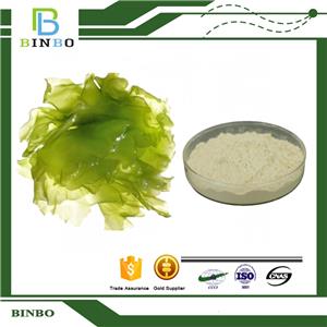 Gamma Linolenic Acid Powder（GLA）