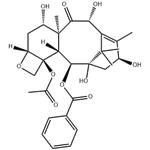 10-Deacetylbaccatin III pictures