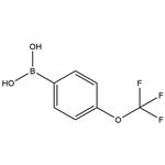 4-Trifluoromethoxyphenylboronic acid pictures