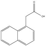 1-Naphthaleneacetic acid pictures