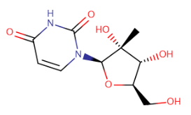 2'-碳-甲基-尿苷