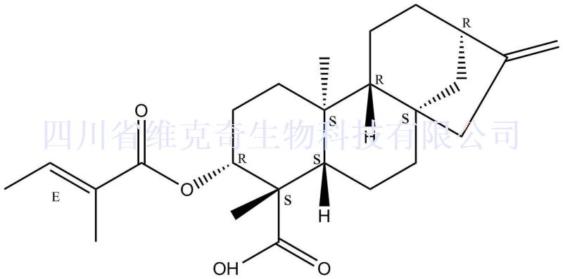 3 Beta-巴豆酰基氧基-等效-贝壳杉-16-烯酸