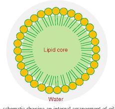 浦瑞生物 纳米包裹水溶性视黄醛，纳米脂质体水溶性视黄醛