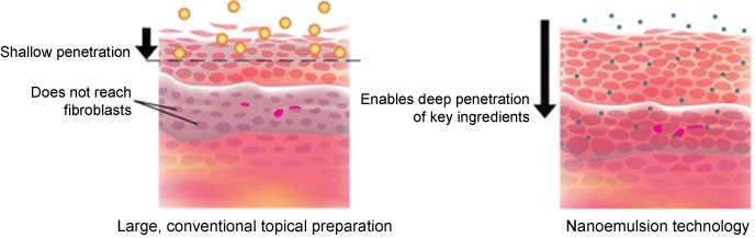 纳肤丽--一分钟祛皱原液，脂质体纳米生物技术打造逆龄传奇
