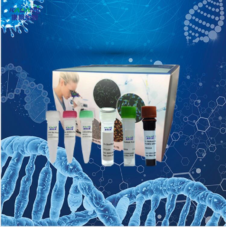 球孢白僵菌PCR试剂盒