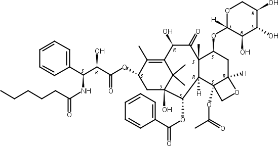7-木糖基-10-去乙酰基紫杉醇C