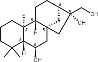 贝壳杉烷-6beta,16,17-三醇