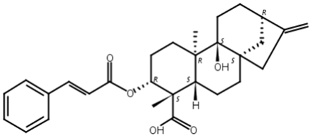 3alpha-肉桂酰氧基-9beta-羟基-对映-贝壳杉-16-烯-19-酸