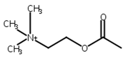 乙酰胆碱
