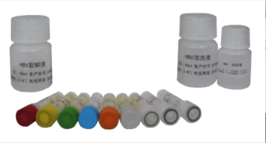 Kit和PDGFRα/β抑制剂(Masitinib)