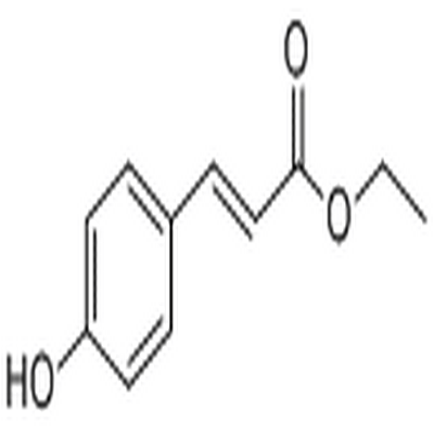 p-Coumaric acid ethyl ester