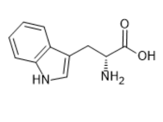 D-色氨酸