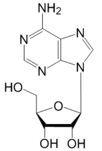 腺苷