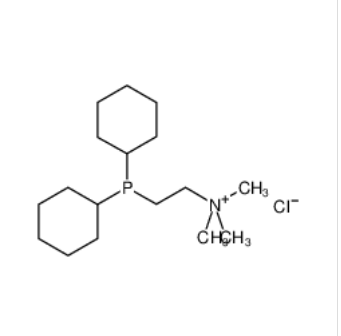 [2-(双环己基膦基)乙基]三甲基三甲基氯化铵