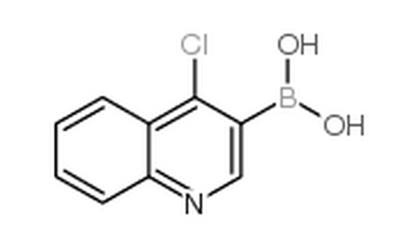 4-氯喹啉-3-硼酸