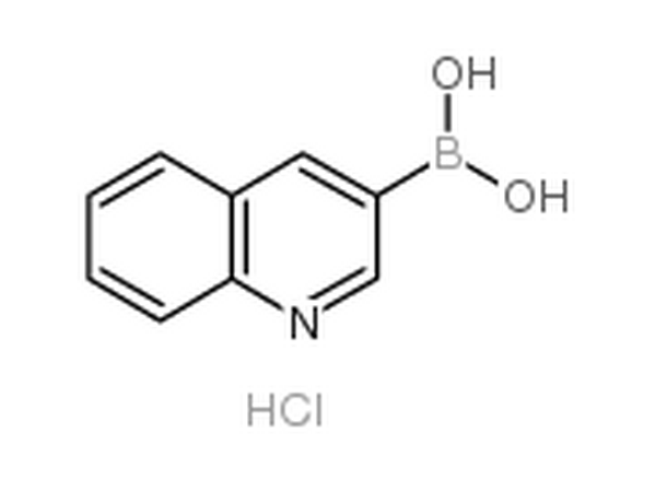 喹啉-3-硼酸盐酸盐