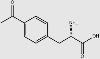 单肽/4-乙酰基-DL-苯丙氨酸