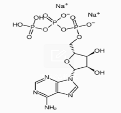 三磷酸腺苷二钠盐(ATP)