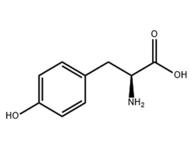 L-酪氨酸