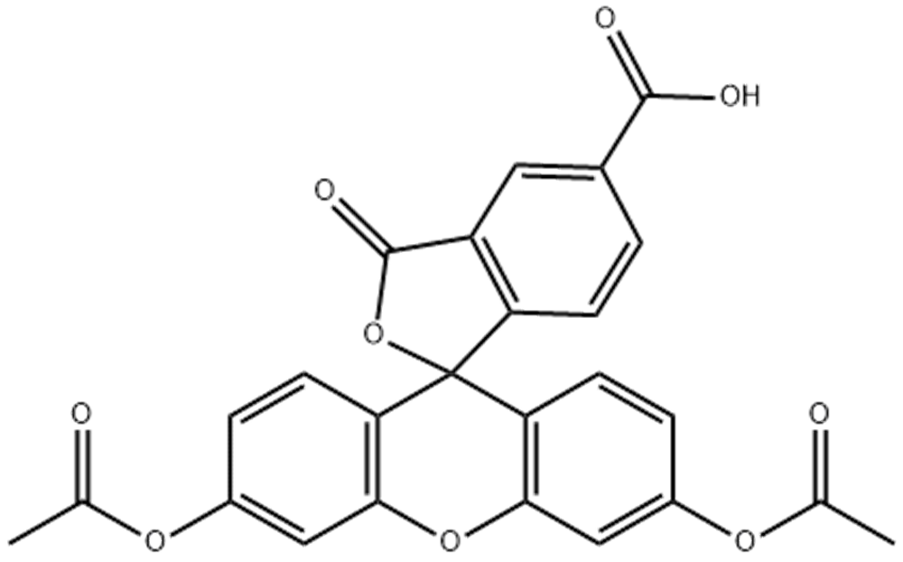 5-羧基荧光素二乙酸酯