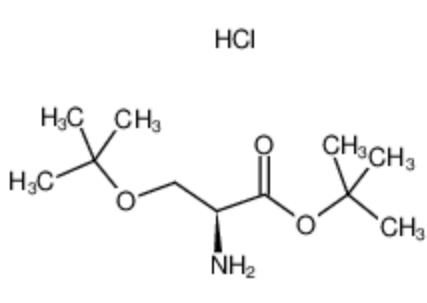 O-叔丁基-L-丝氨酸叔丁酯 盐酸盐