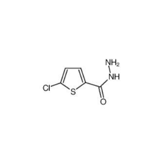 5-氯-2-噻吩甲酰肼