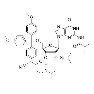 iBu-rG 亚磷酰胺单体