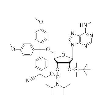 N6-Me-rA 亚磷酰胺单体
