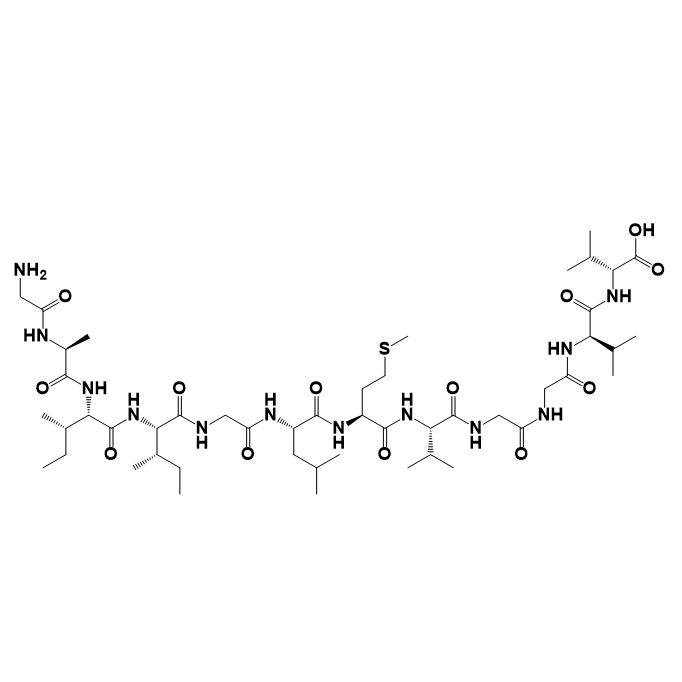 β淀粉样肽（29-40）