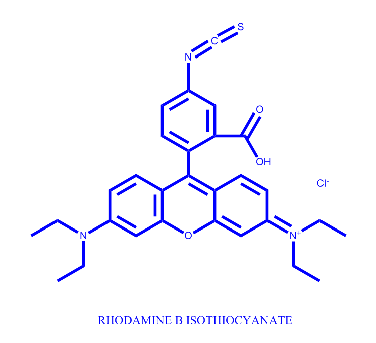 罗丹明B异硫氰酸酯
