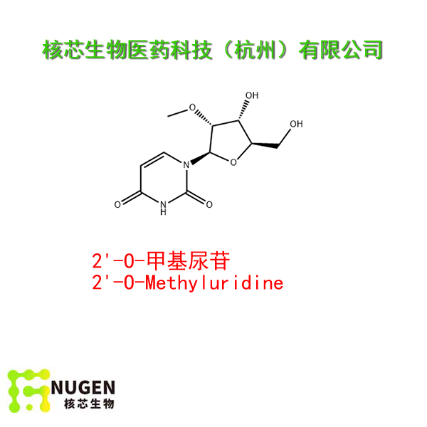2'-O-甲基尿苷