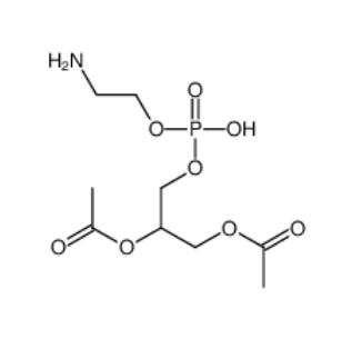 磷酯酰乙醇胺